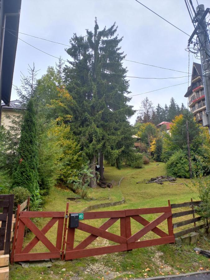 Ferienwohnung Apartament Aosta Central Sinaia Exterior foto